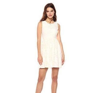 Wild Meadow Women's Lace Fit and Flare Dress